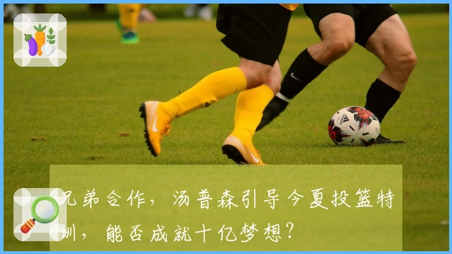 兄弟合作，汤普森引导今夏投篮特训，能否成就十亿梦想？